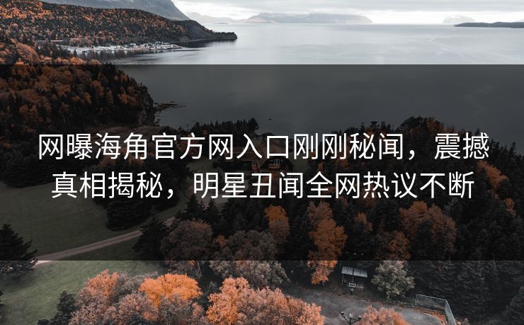 网曝海角官方网入口刚刚秘闻，震撼真相揭秘，明星丑闻全网热议不断
