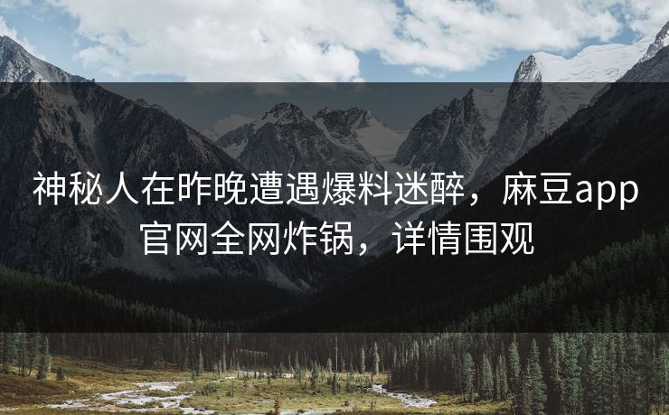 神秘人在昨晚遭遇爆料迷醉，麻豆app官网全网炸锅，详情围观